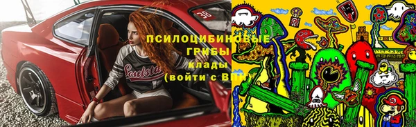 первитин Алексеевка